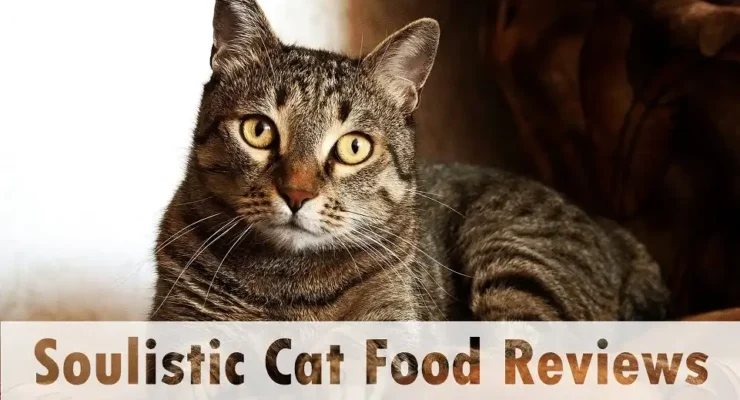 soulistic cat food reviews